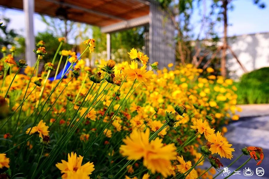 北京金科天玺花园设计 | 用减法做加法-32