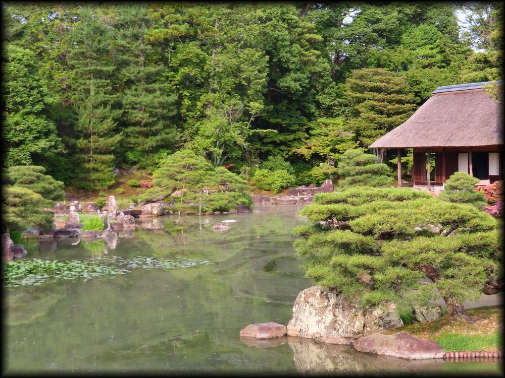 桂离宫·松琴亭丨日本京都-30
