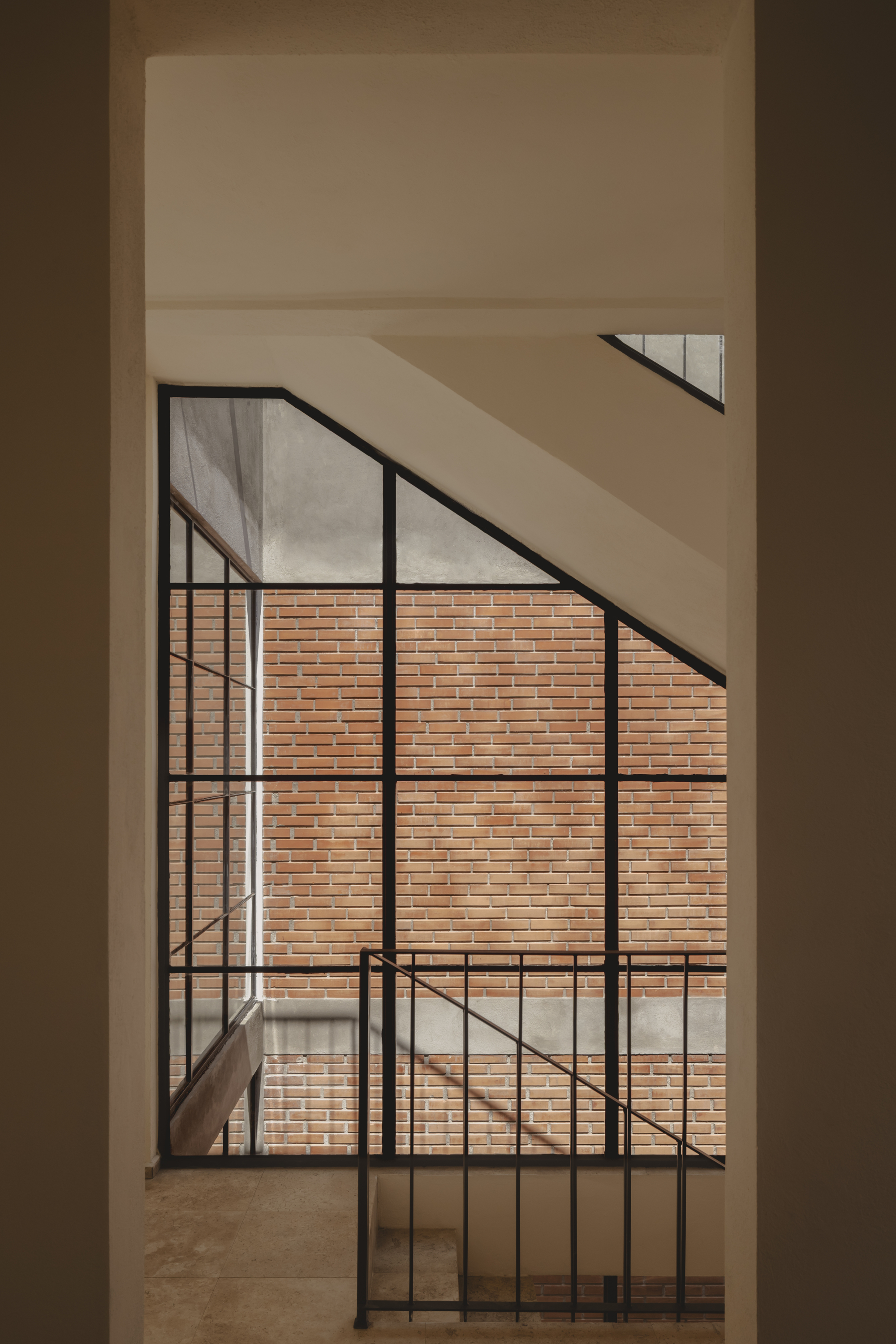 鲨鱼屋丨墨西哥丨TALC-33