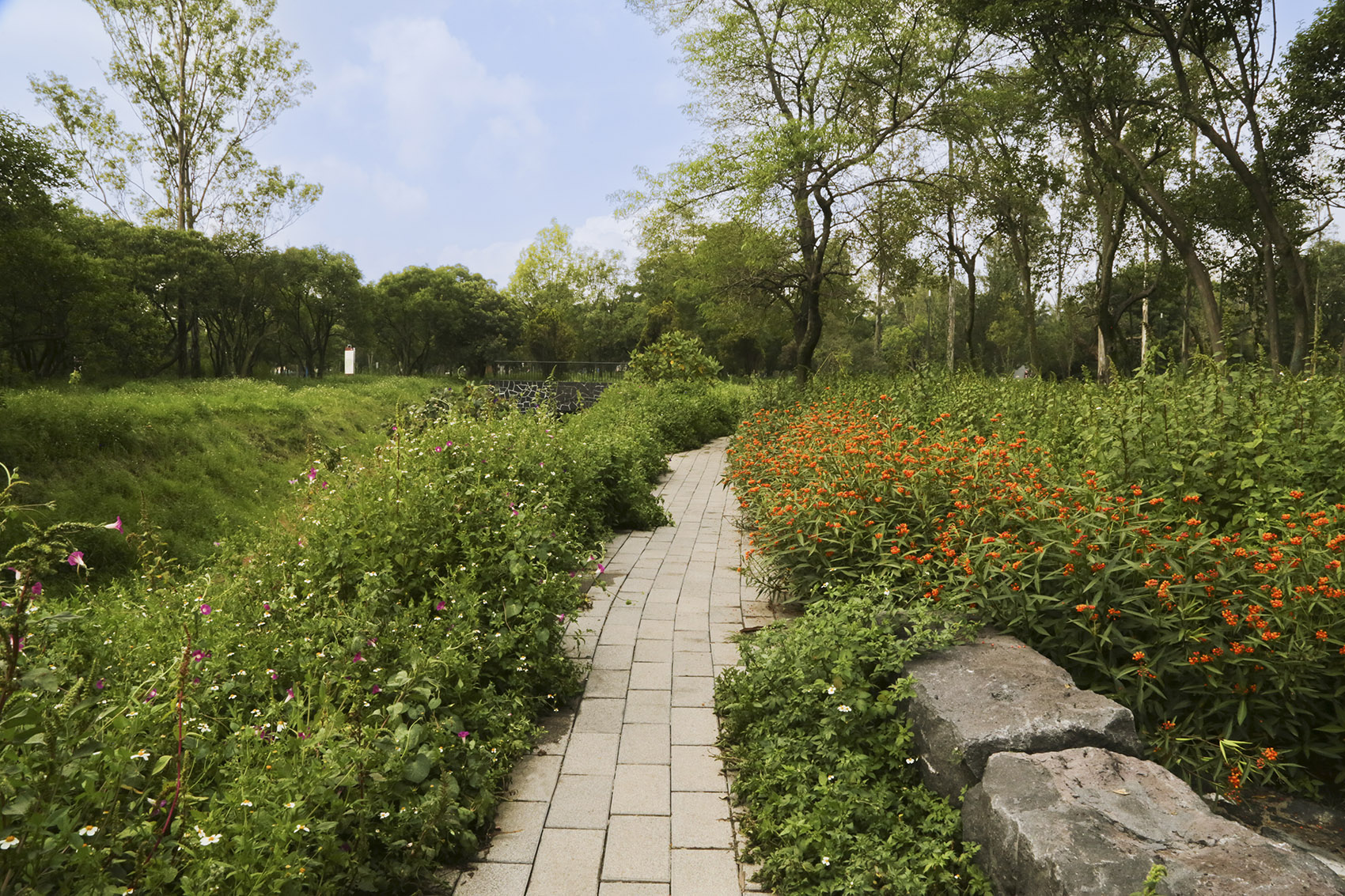 环境文化中心丨墨西哥墨西哥城-67