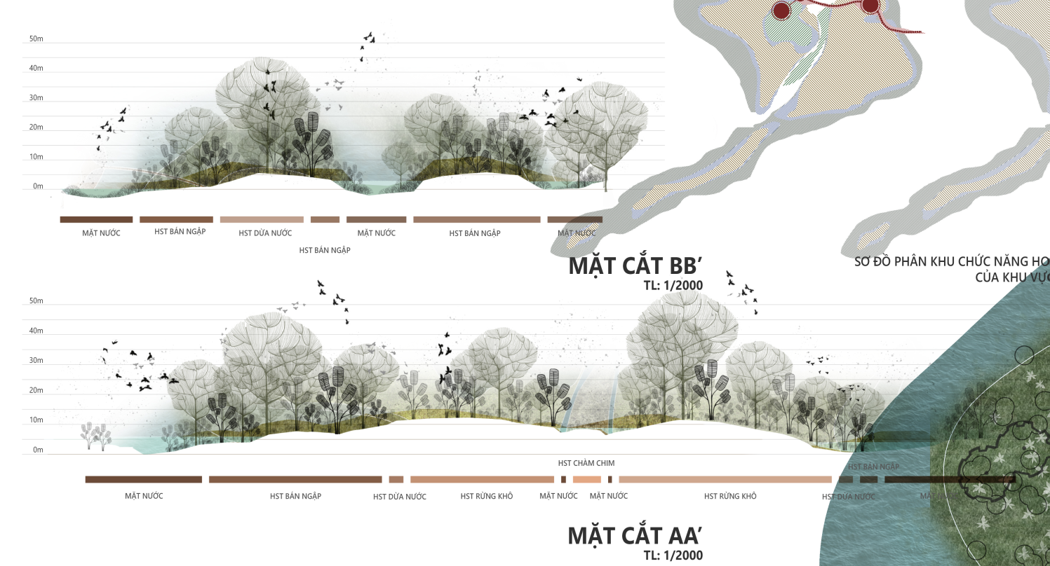 湿地公园丨越南-15
