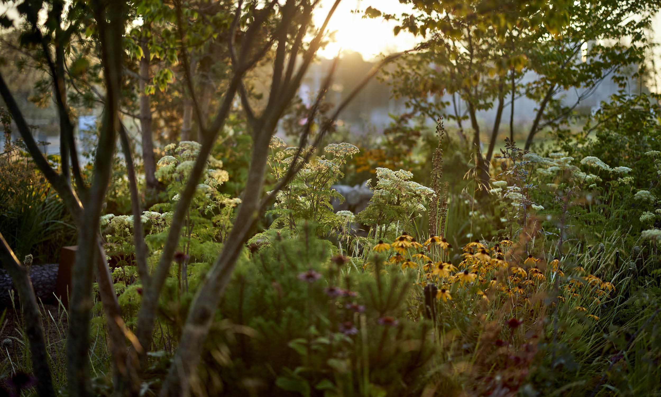 荷兰世园会  自然之境丨荷兰阿尔梅勒丨Stefano Marinaz景观公司（SMLA）-42