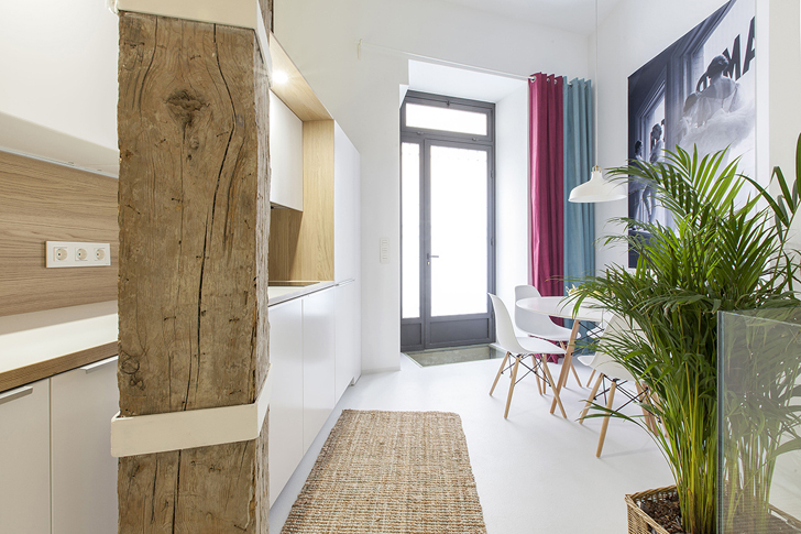 马德里公寓翻新，植物点亮空间-2