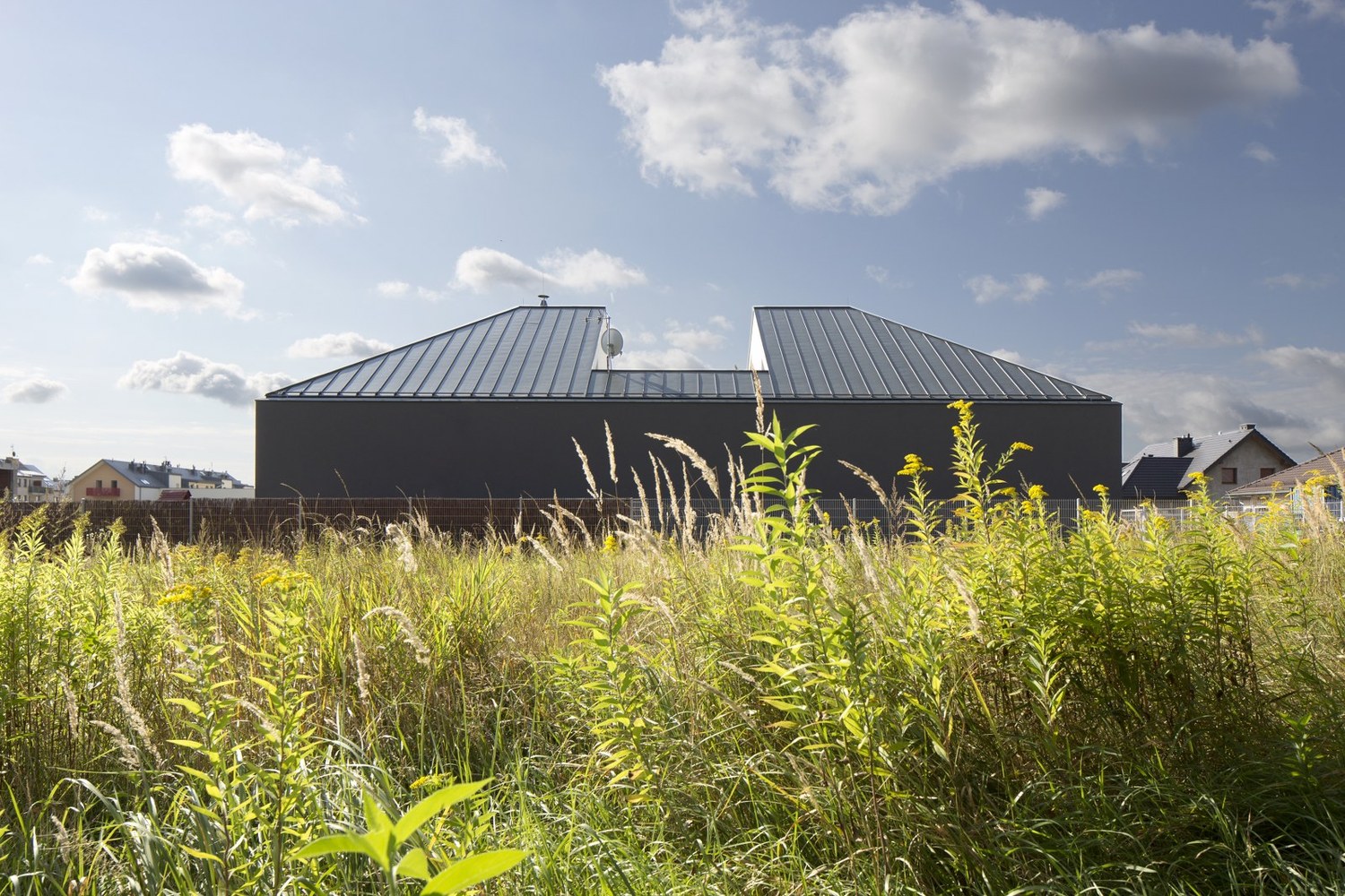 波兰南部森林中的现代简约住宅-4