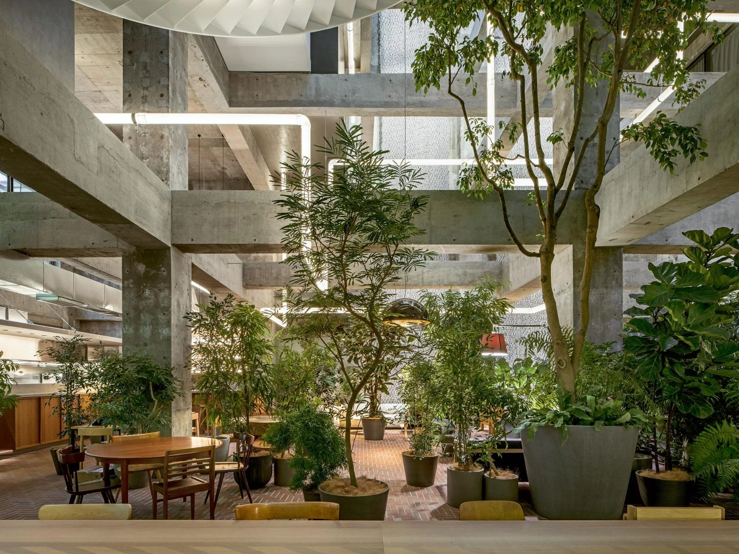 前桥市白井屋酒店丨日本丨Daici Ano Katsumasa Tanaka-13