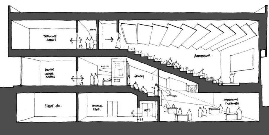 成都美敦力创新中心丨中国成都丨BM宝麦蓝-28
