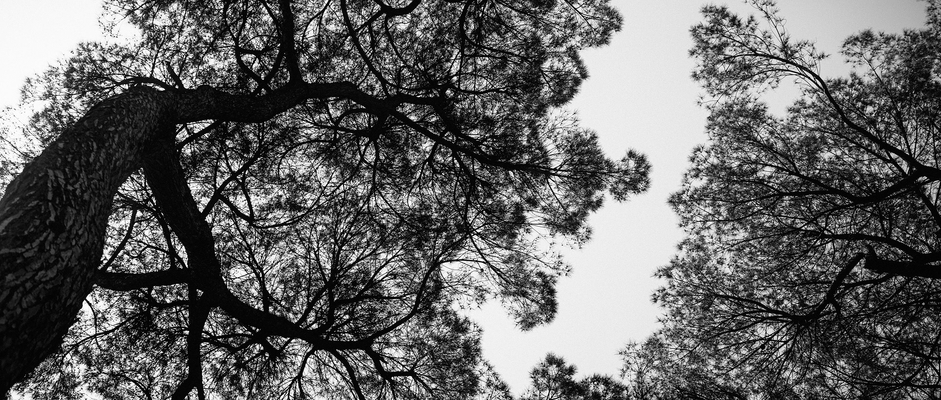 未命名丨Alexander Rentsch-37