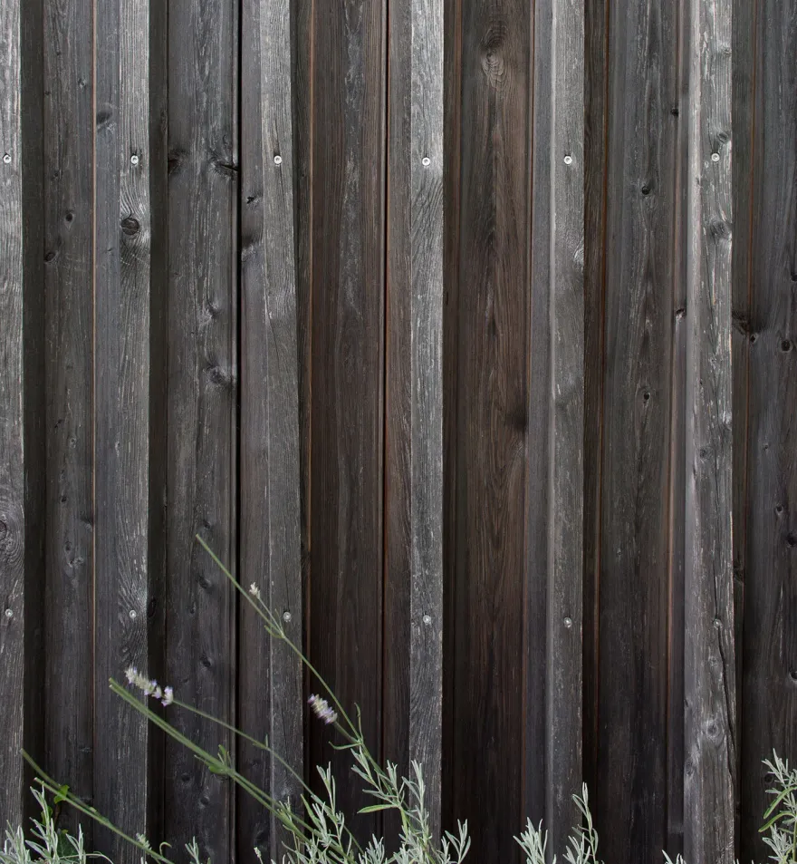 带花园的房子丨斯洛文尼亚丨dekleva gregorič architects-11