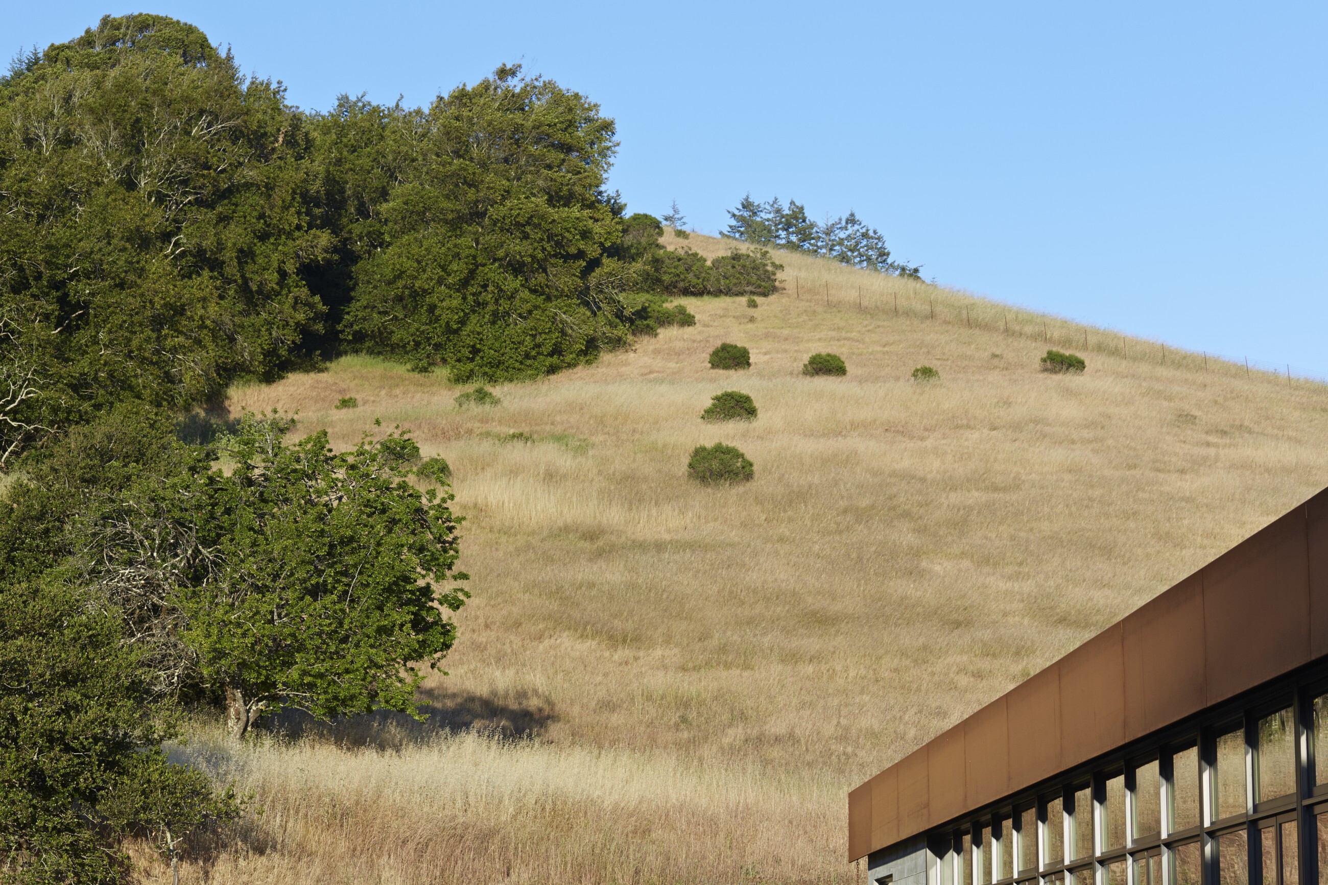Crook Cup Bow Twist（曲木之魂）住宅设计-21