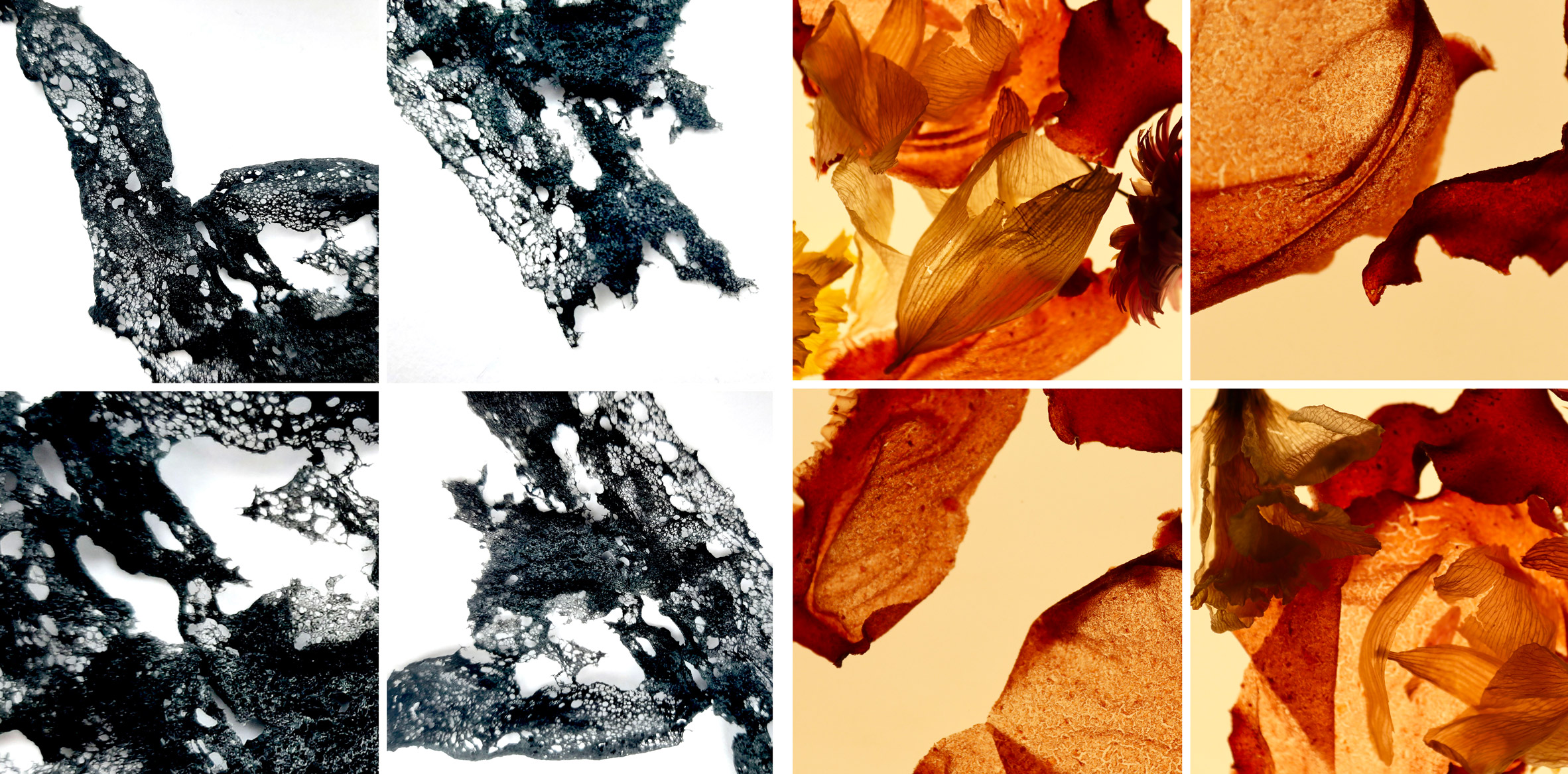 生物材料“biobox” | 环保创新设计-0