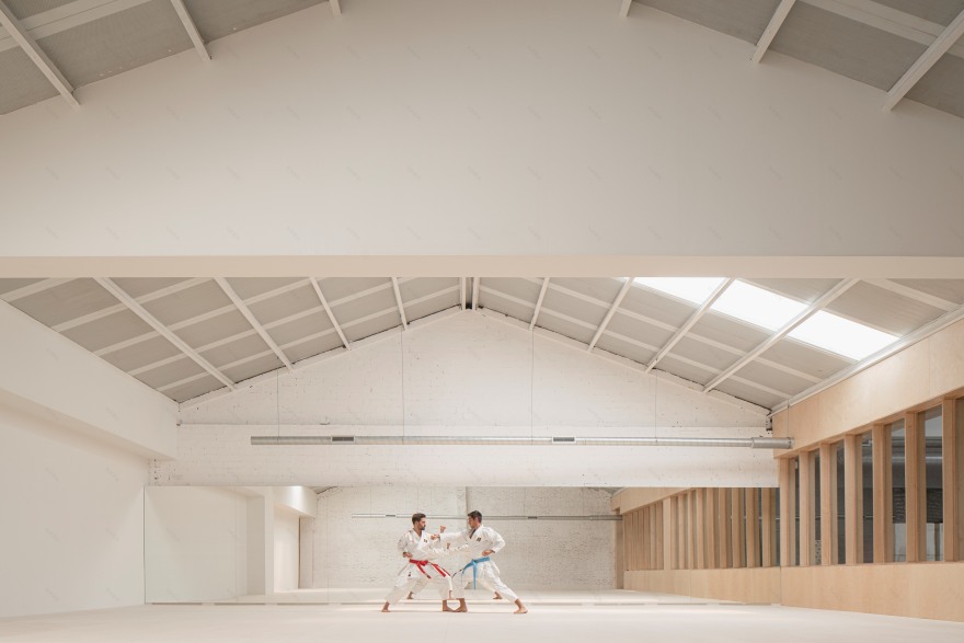 双面空间 · 日本武道馆的多功能设计-18