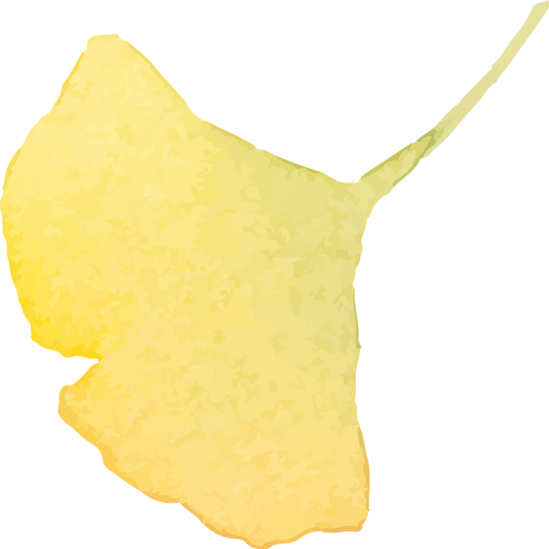 深圳园博园：用公园打开城市生活新方式-123