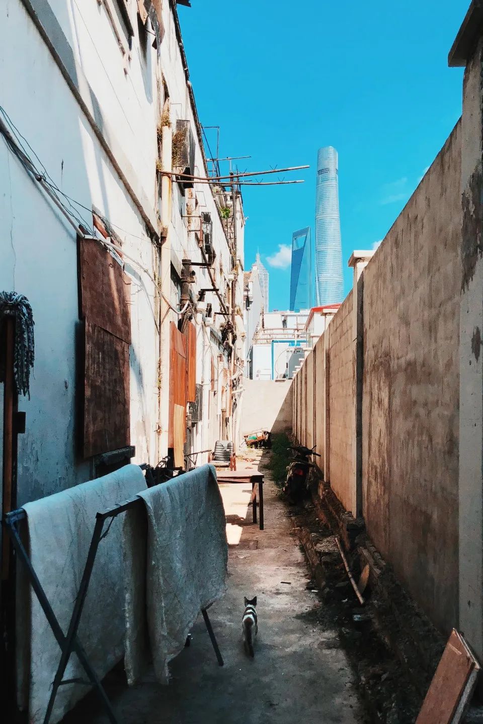 城市切片 · 建筑师王俊锋的手机影像城市观察丨中国北京-26