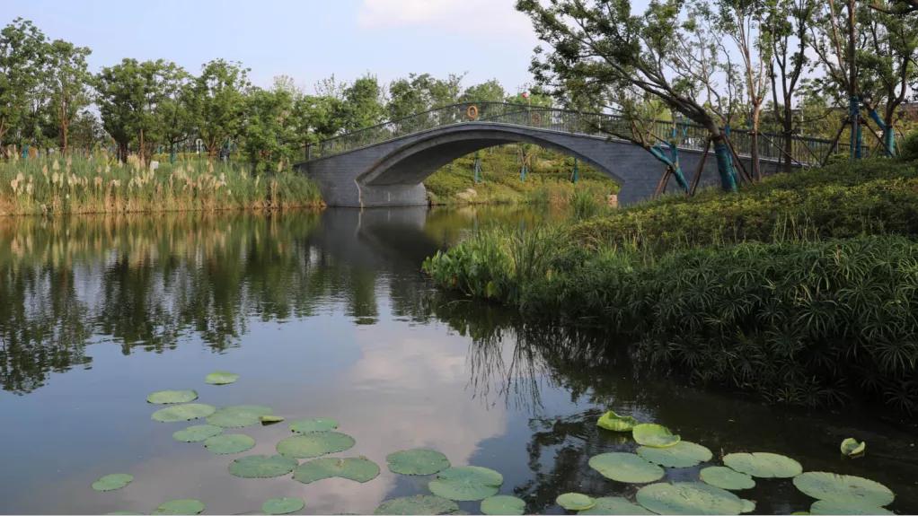 南通紫琅公园-17