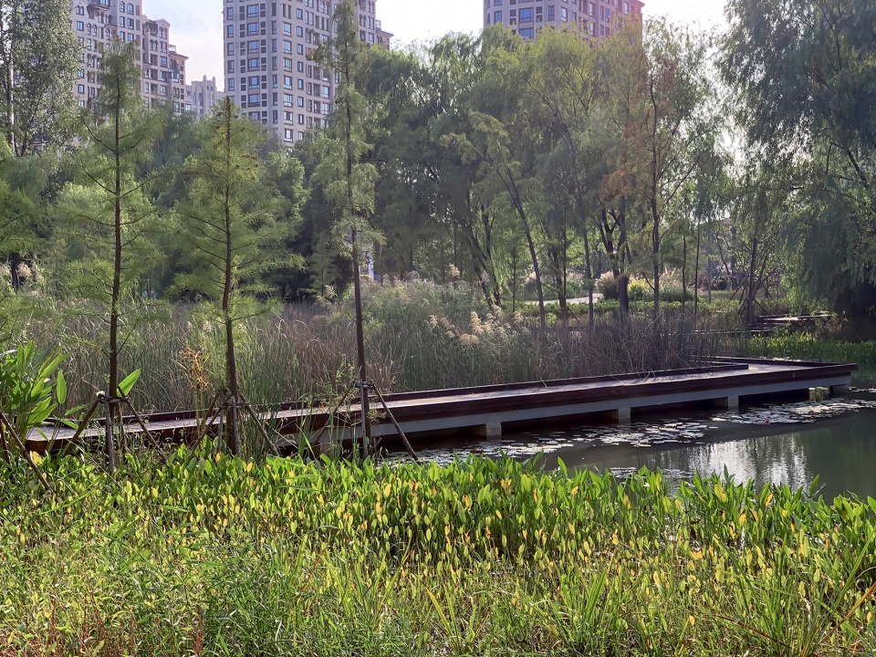 昆山市城市生态森林西入口丨中国鞍山丨PLAT Studio-55