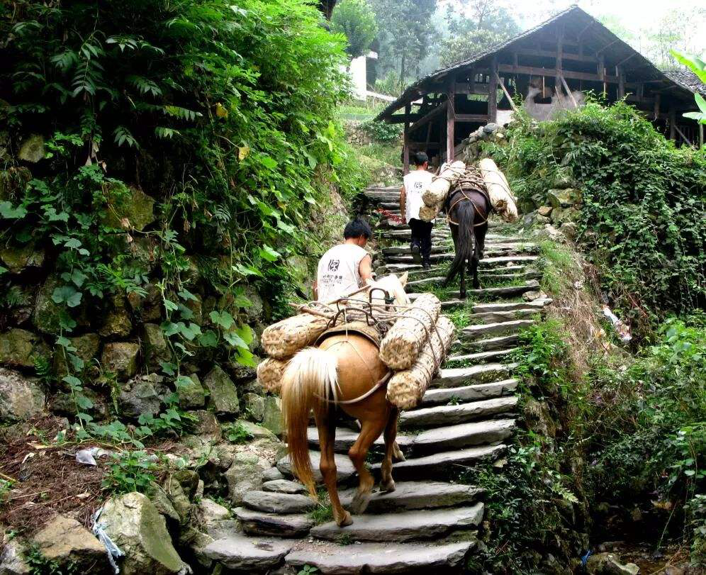 湖南益阳璞轩餐饮空间设计 | 融合山水竹茶文化的现代美学-29