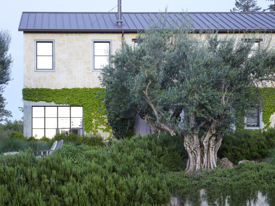 加州希尔兹堡,新旧交汇的野趣庄园 / Lucas & Lucas-5