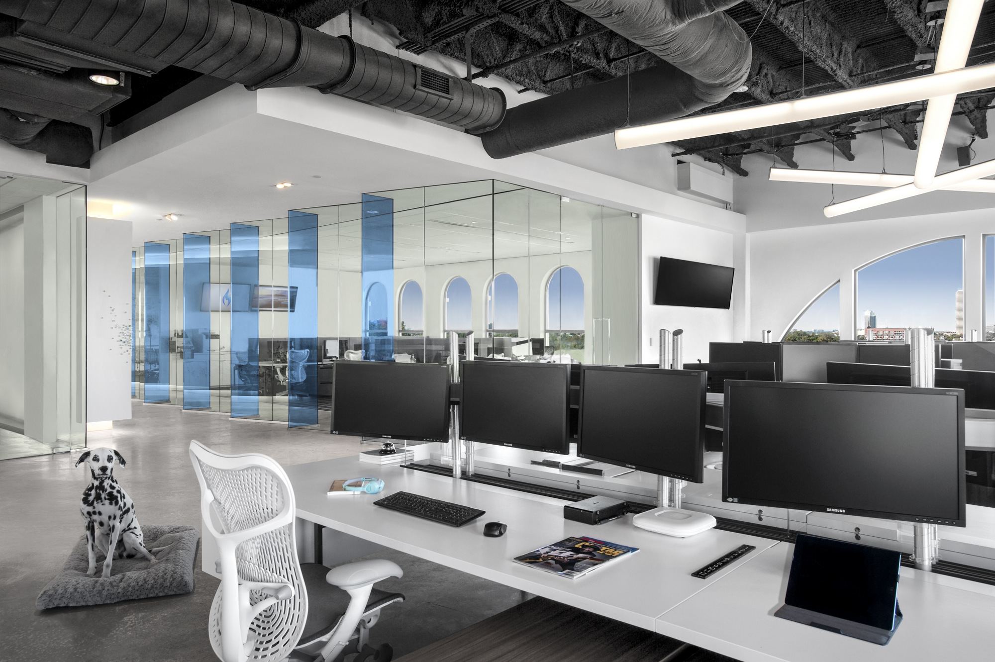 休斯顿Vista能源服务办公室设计-13