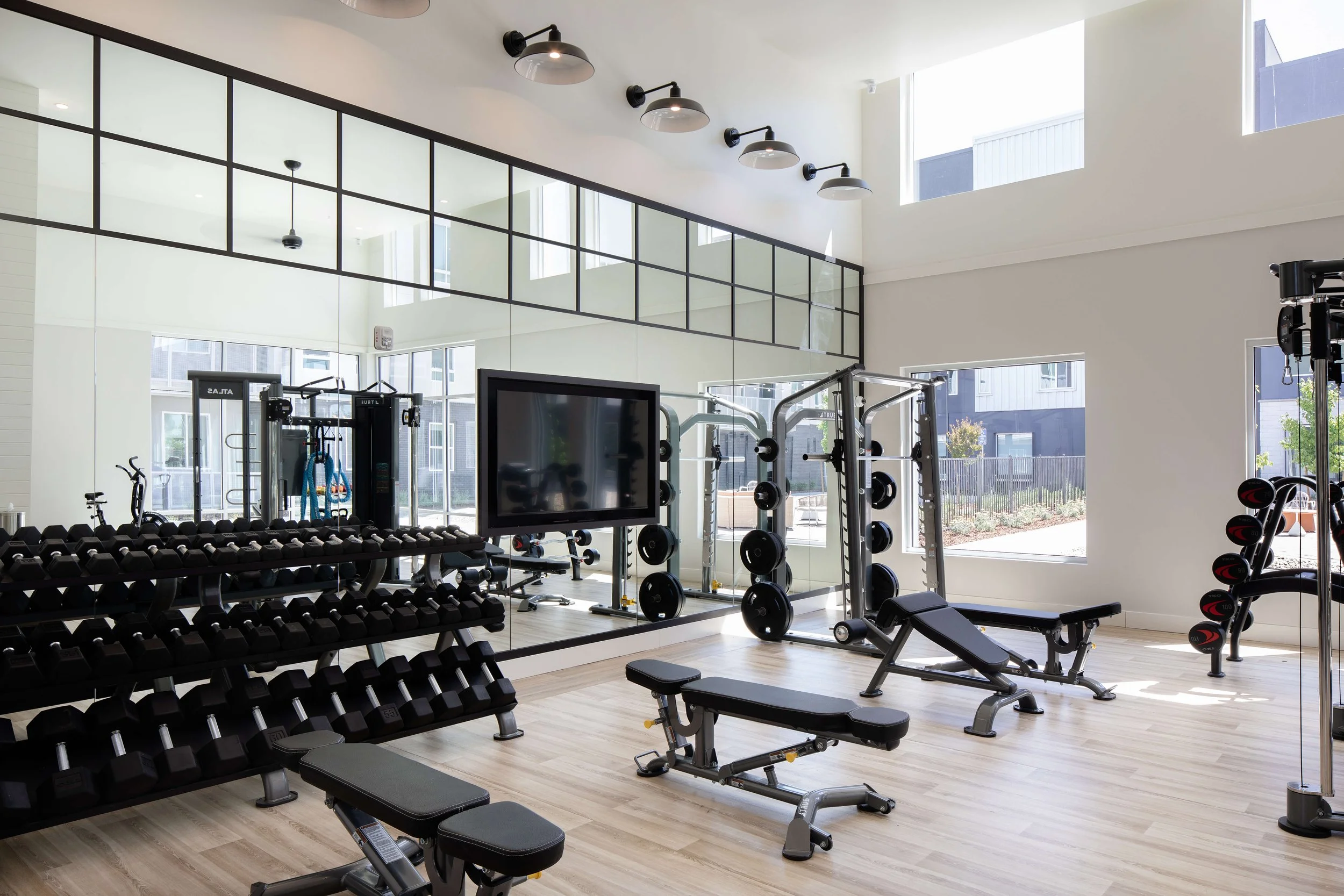 丨美国加利福尼亚-43