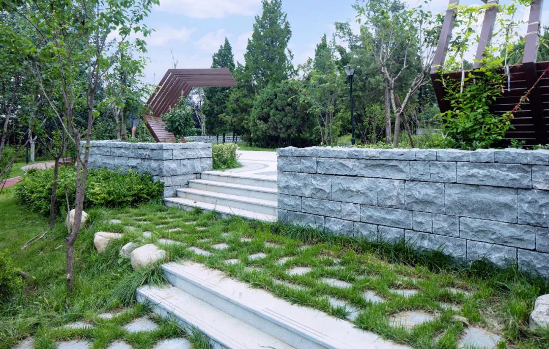 青岛烟墩山公园景观改造-83