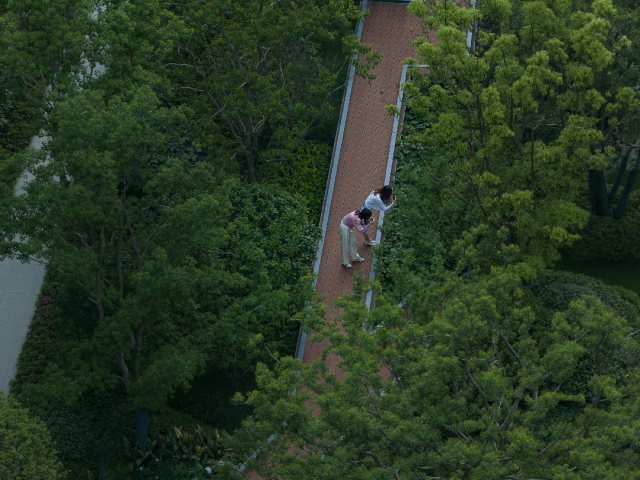 重新组合自然美 · 植物设计浅谈丨中国南京-7