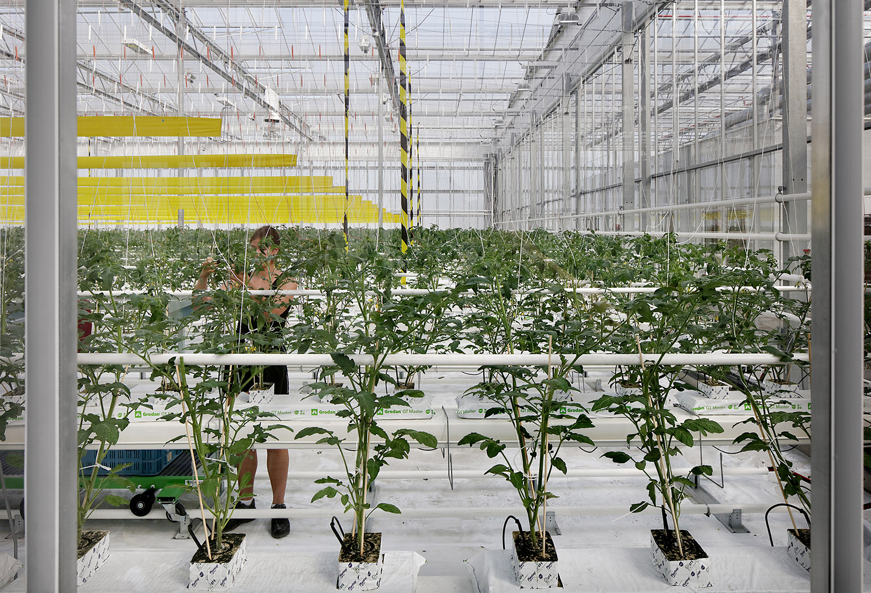 Agrotopia屋顶温室&城市园艺研究中心丨比利时-61