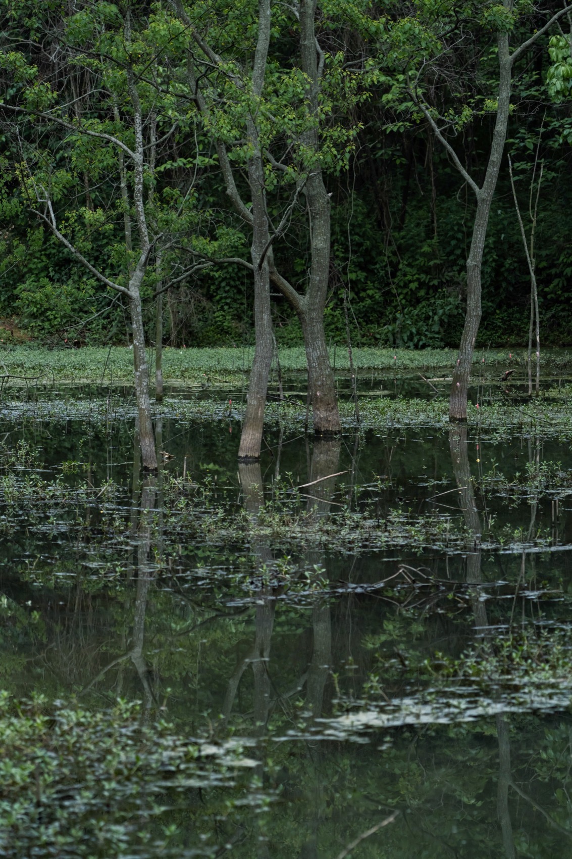 麓野公园丨中国成都丨四川乐道景观设计有限公司-94