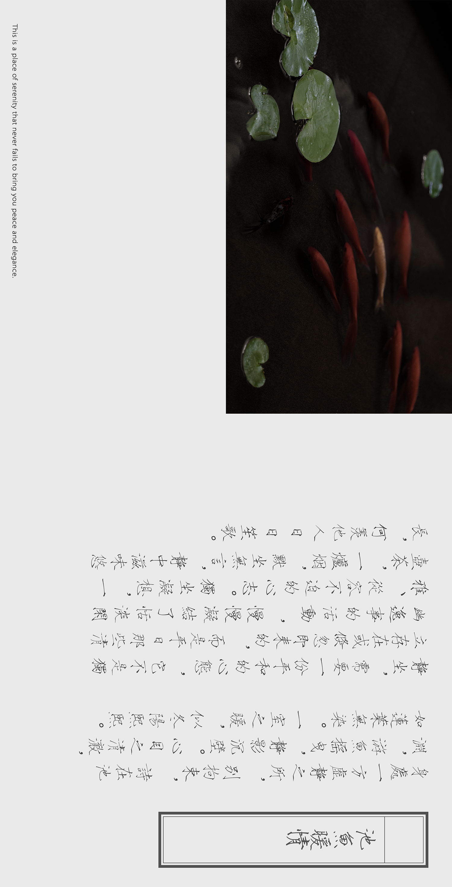 素丘園丨中国四川丨PONE普利策-22