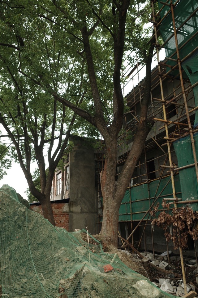 茧·酒店:湖州纺织业历史遗存的新生丨中国湖州丨九樟营造事务所-182