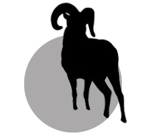 DO Global深圳办公设计-32