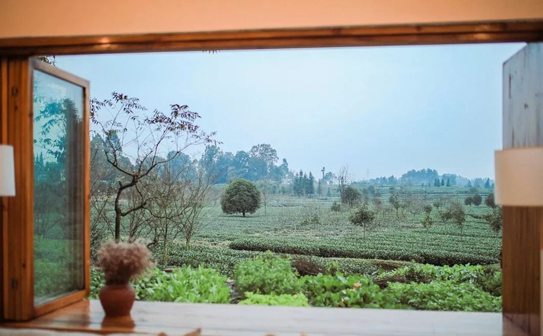 一座院子，度余生-25