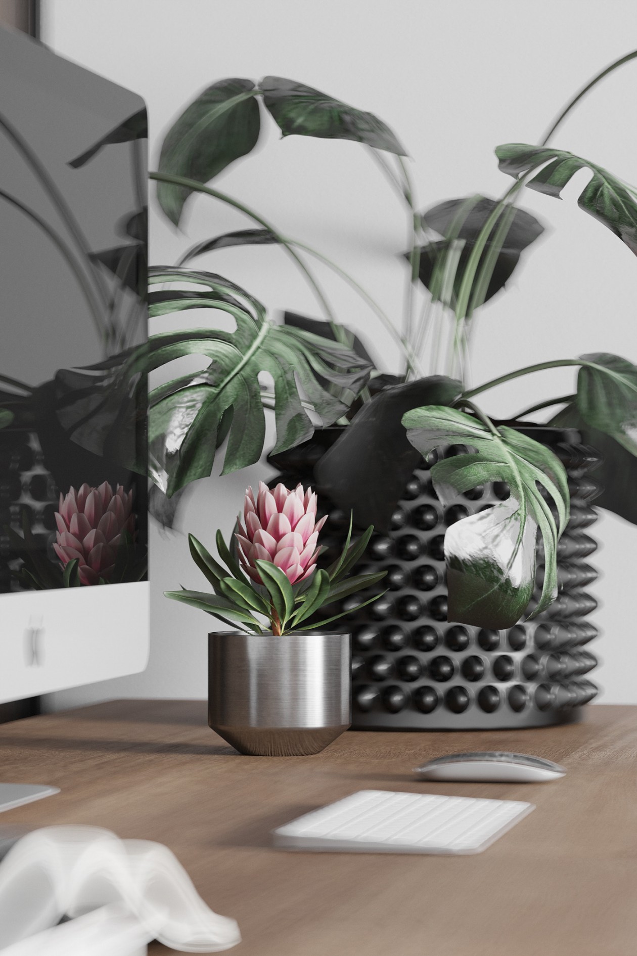 白色系塑造素净空间的宁静与温馨-12