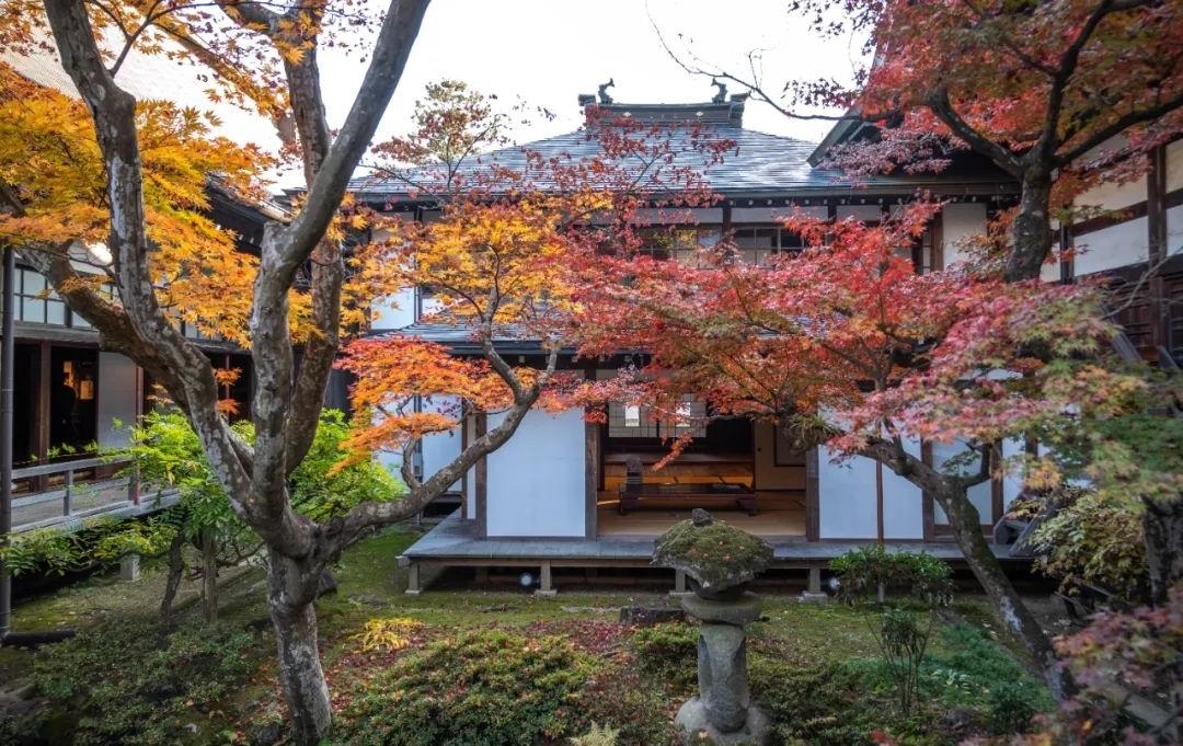 梦窗疏石·禅庭闲寂丨日本-54