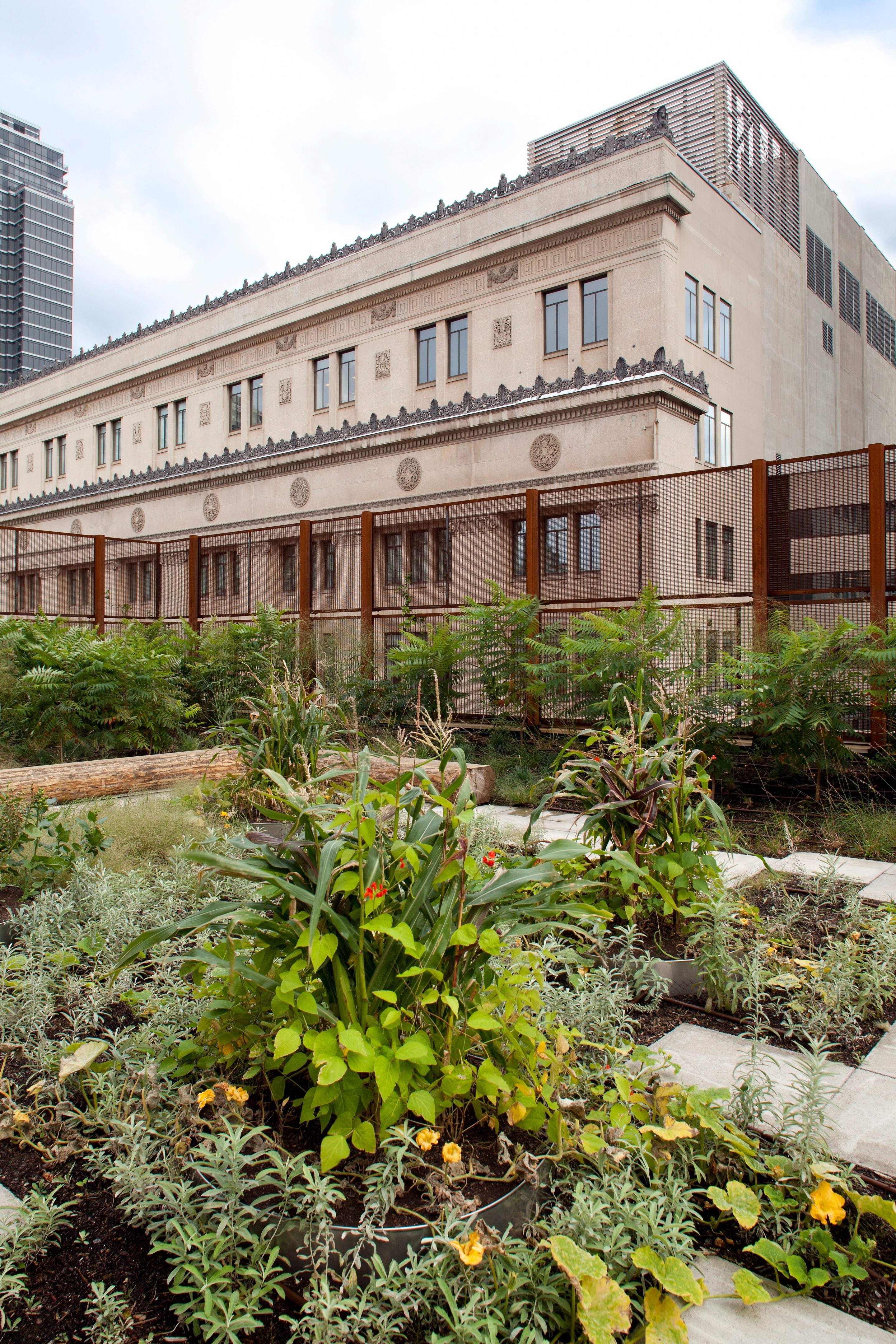 原住民之家(Native Child and Family Services of Toronto)-18