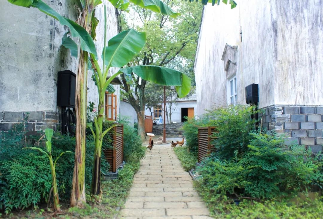 穿过喧嚣 走进时光·来高淳东坝看美丽乡村-27