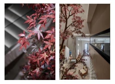 拾瑾体质调理商业空间设计丨中国赣州丨南昌艾木设计事务所-32