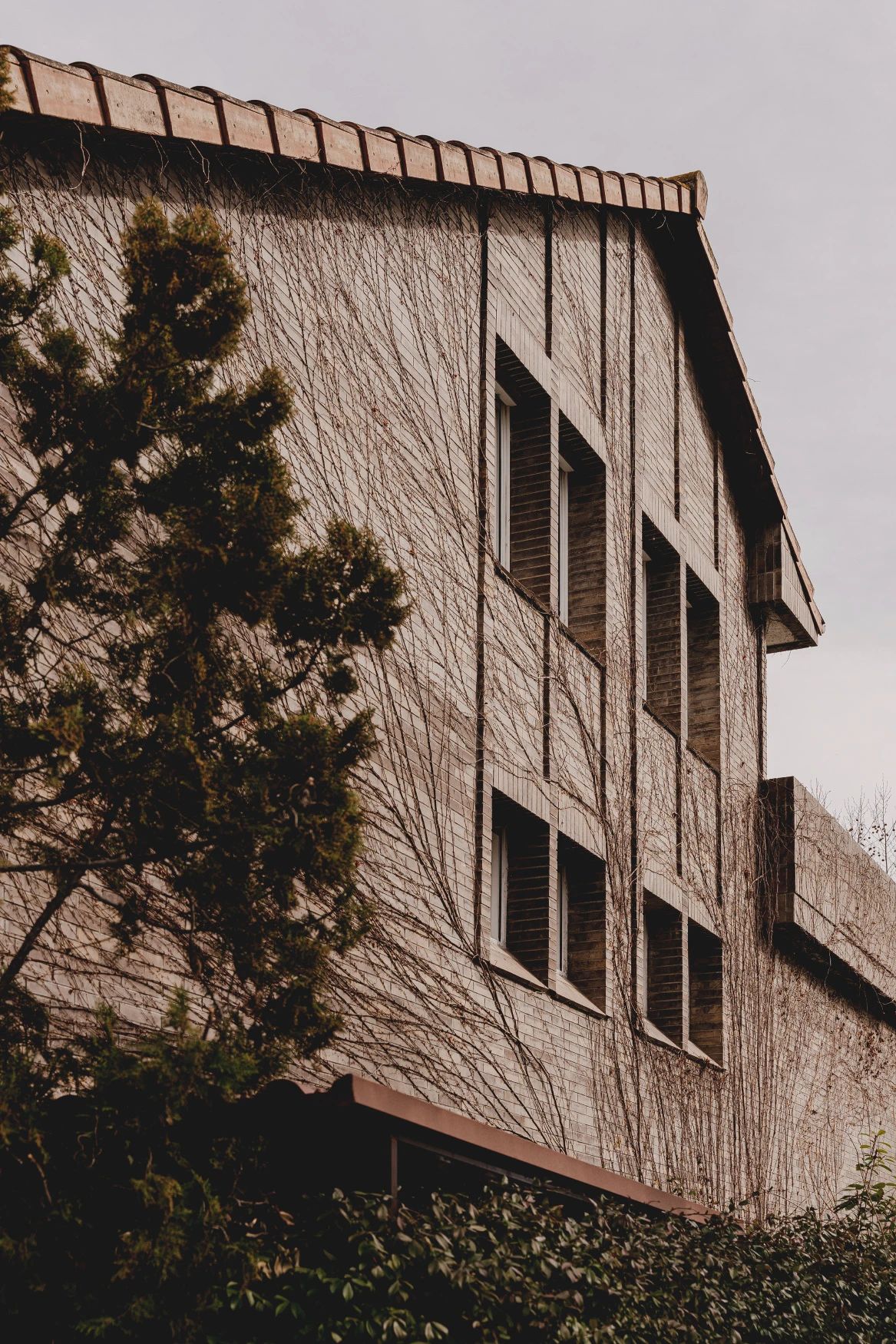 Maximale丨极简、克制，永续生活-44