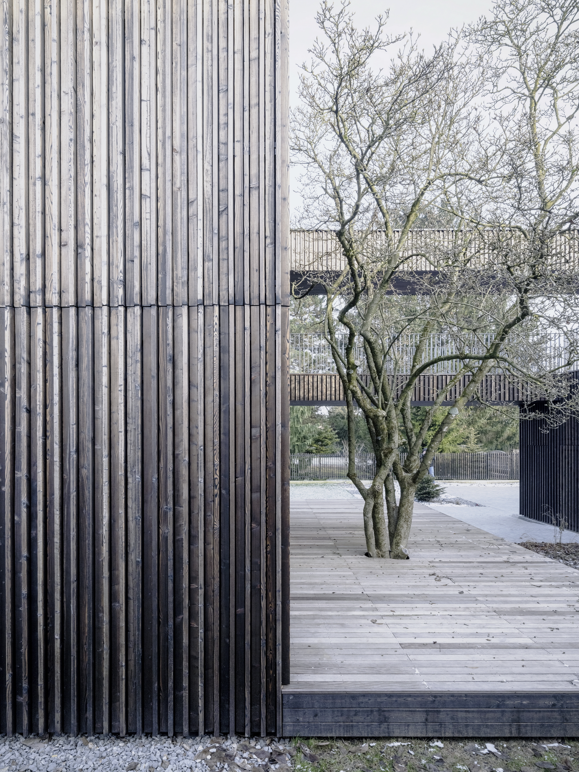 T 台屋丨Slovenia丨OFIS Architects-39