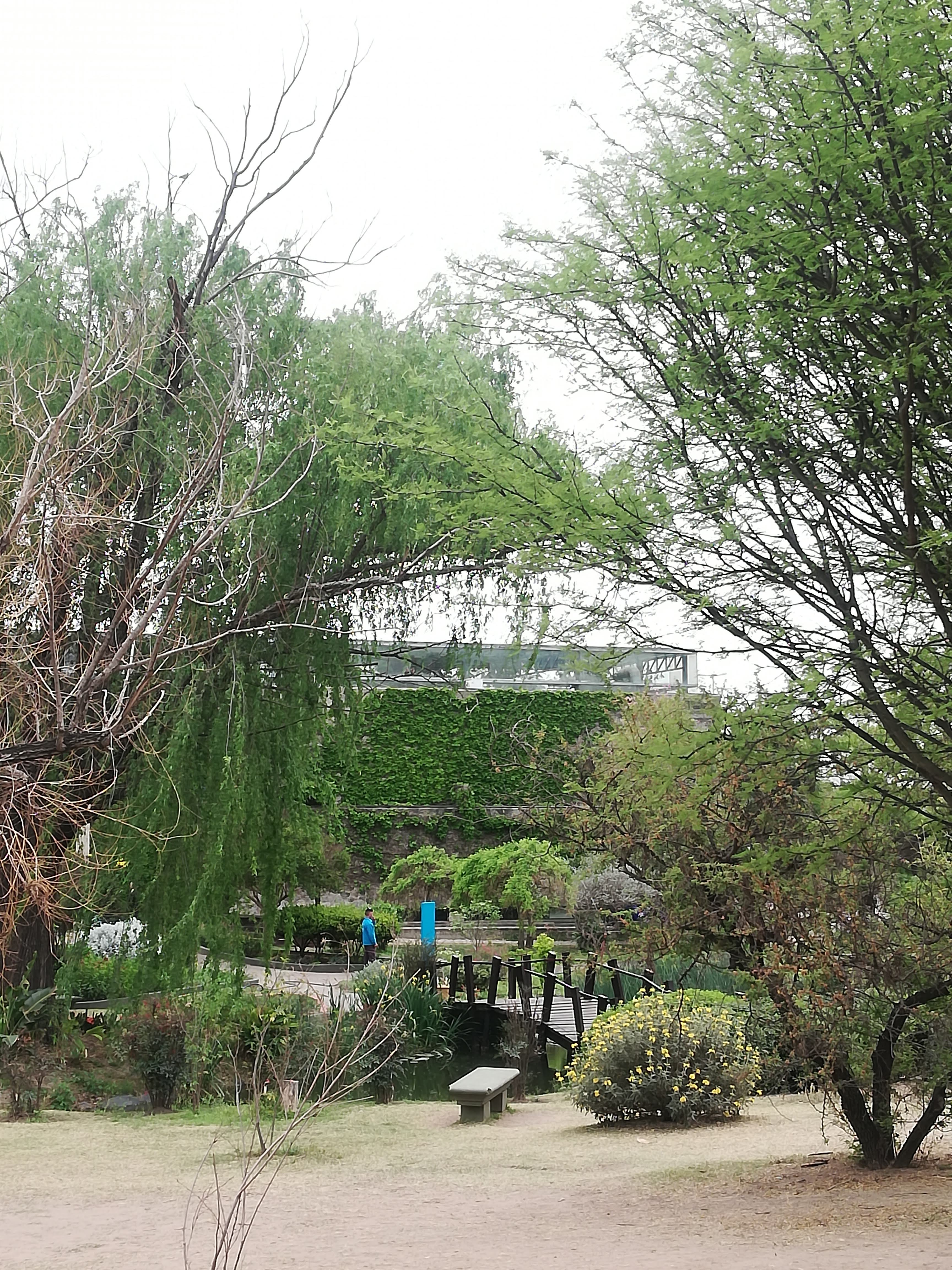Jardín Botánico CBA, AR-10