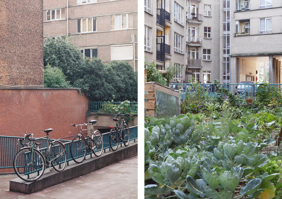 Generaal Jacques社会住房项目翻新-21