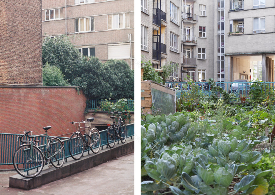 Generaal Jacques社会住房项目翻新-21