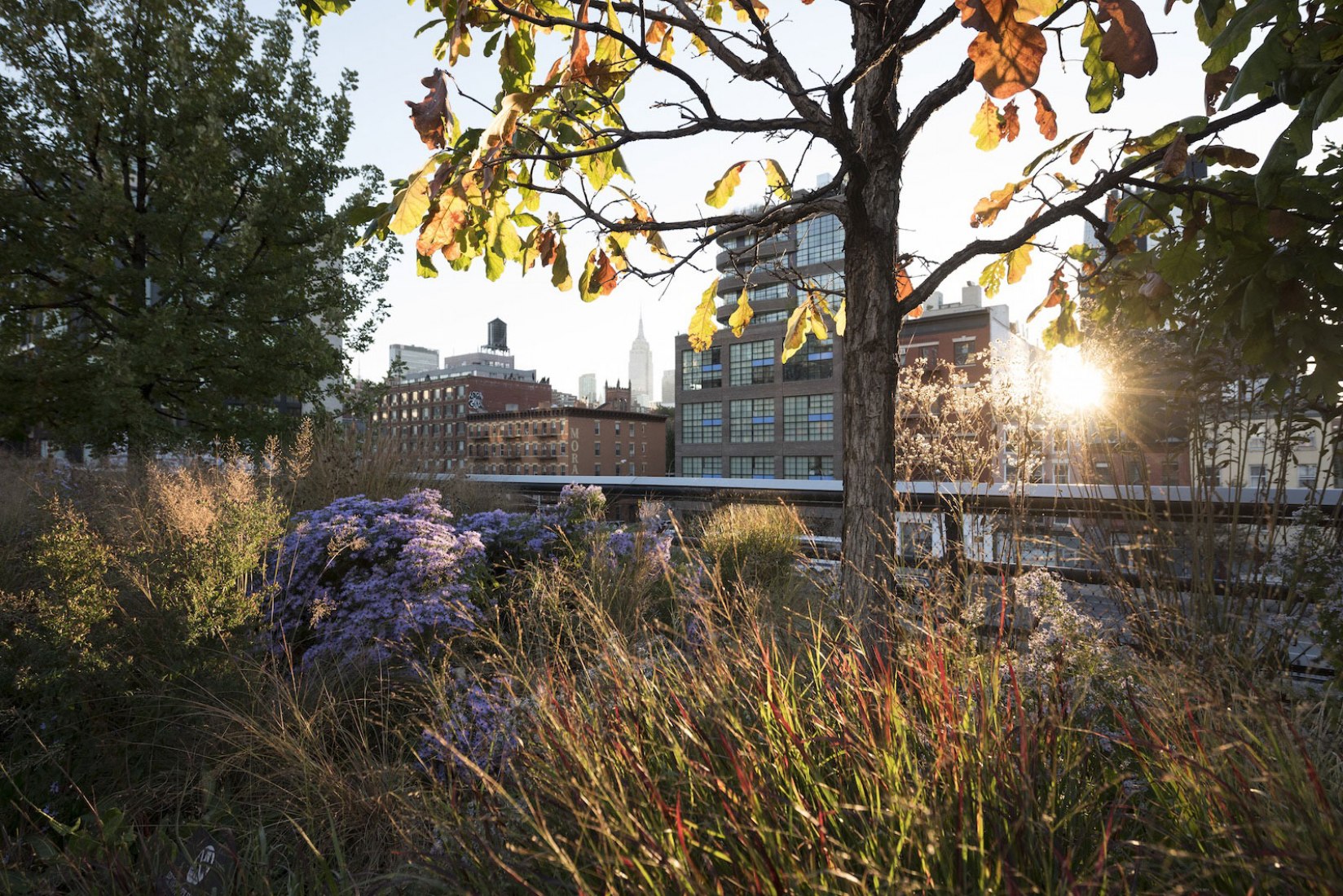 纽约高线公园（The High Line）丨美国曼哈顿-30