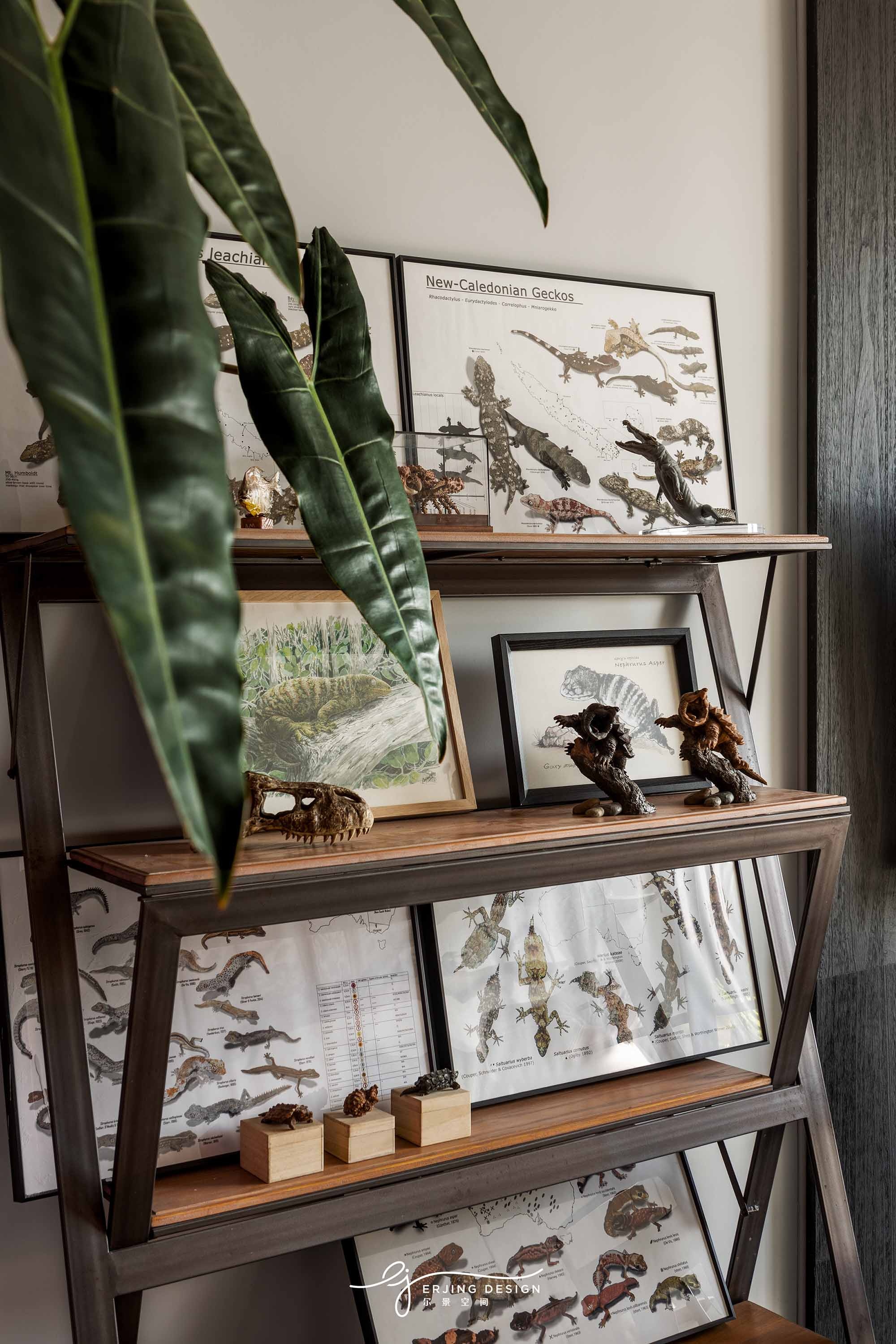 爬宠店·Sign Of Gecko丨中国杭州丨尔景空间设计-31
