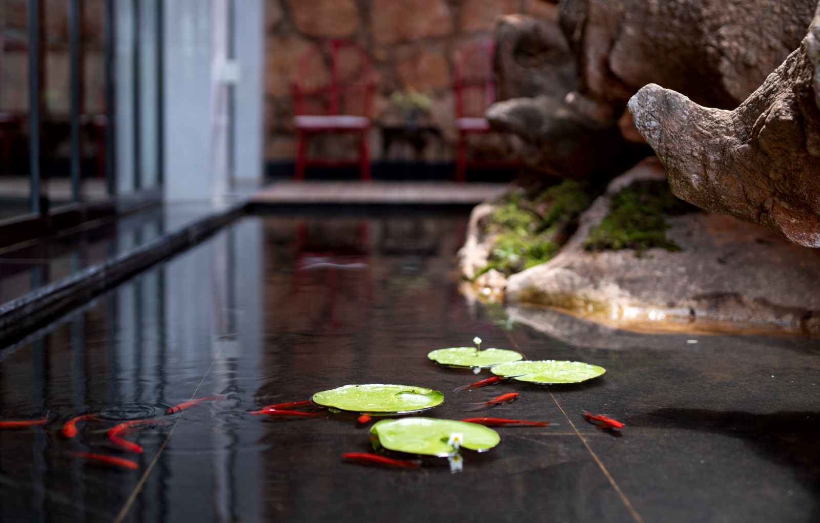 大理俊园美宿海景民宿-29