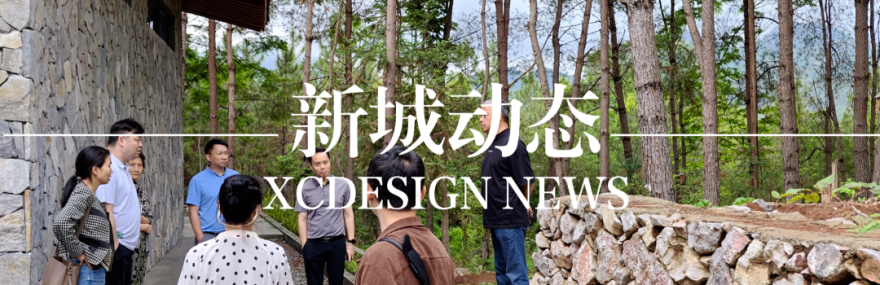 当矿石遇见养生:在国家级田园综合体打造“地质美学+生态疗愈”双IP-28