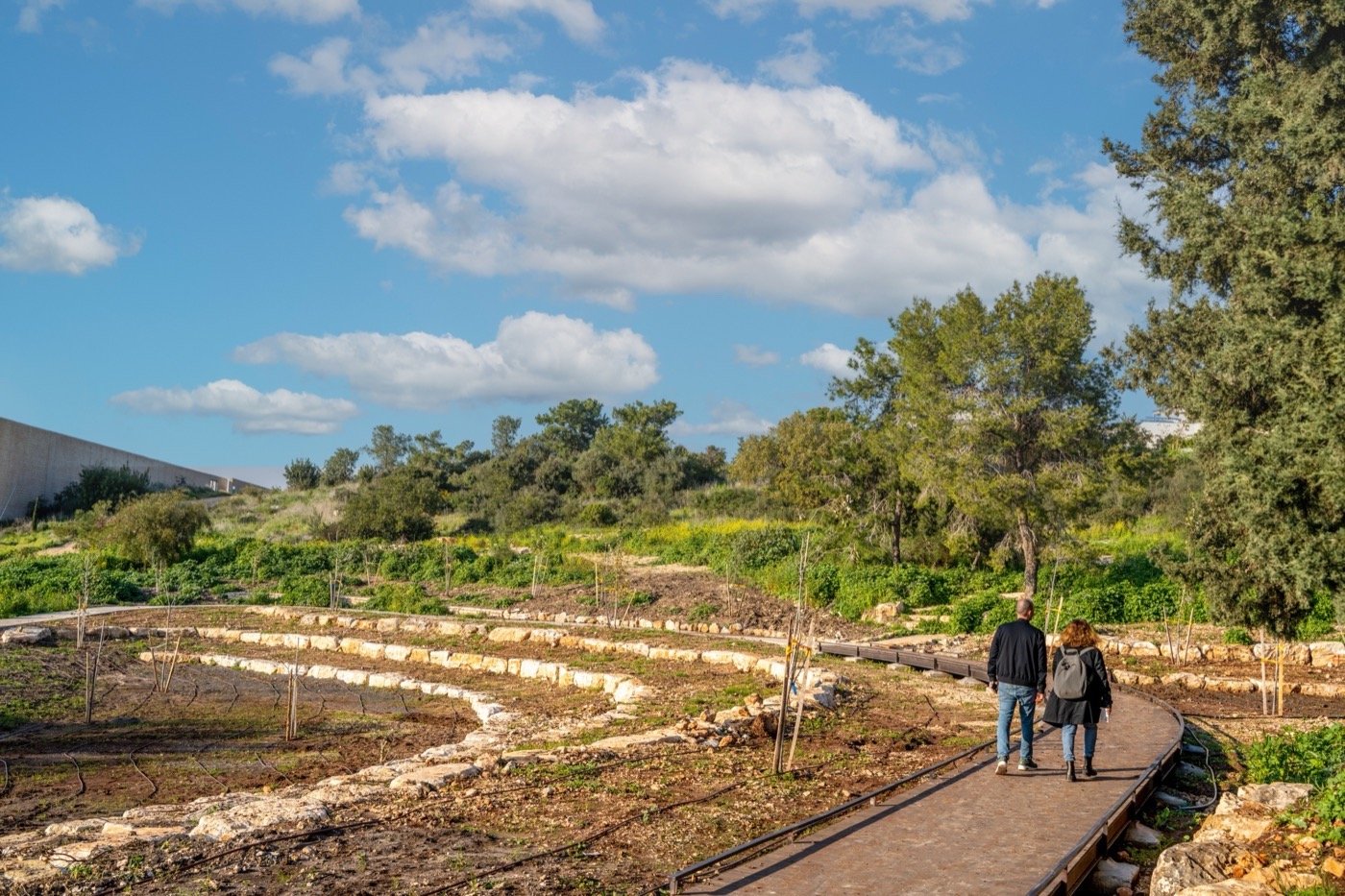 以色列哈里什森林公园-16