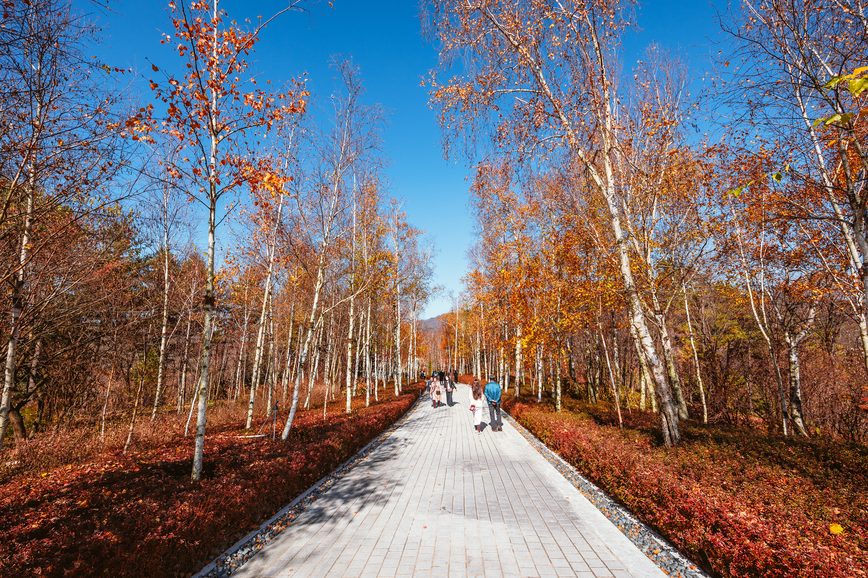 博物馆 SAN丨韩国原州市丨安藤忠雄-23