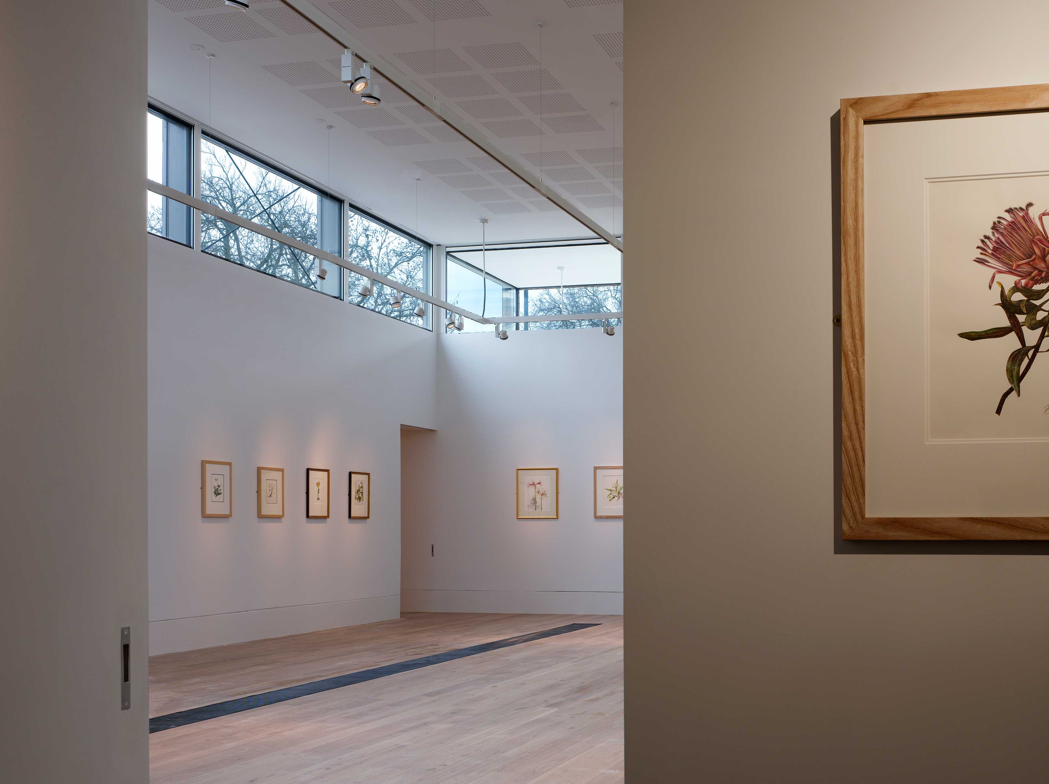 邱园植物艺术画廊（雪莉舍伍德美术馆）-23