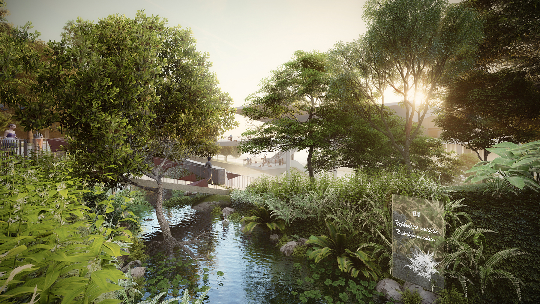 深圳红树林湿地博物馆方案设计及建筑与景观专业初步设计·红树十二境丨中国深圳-45