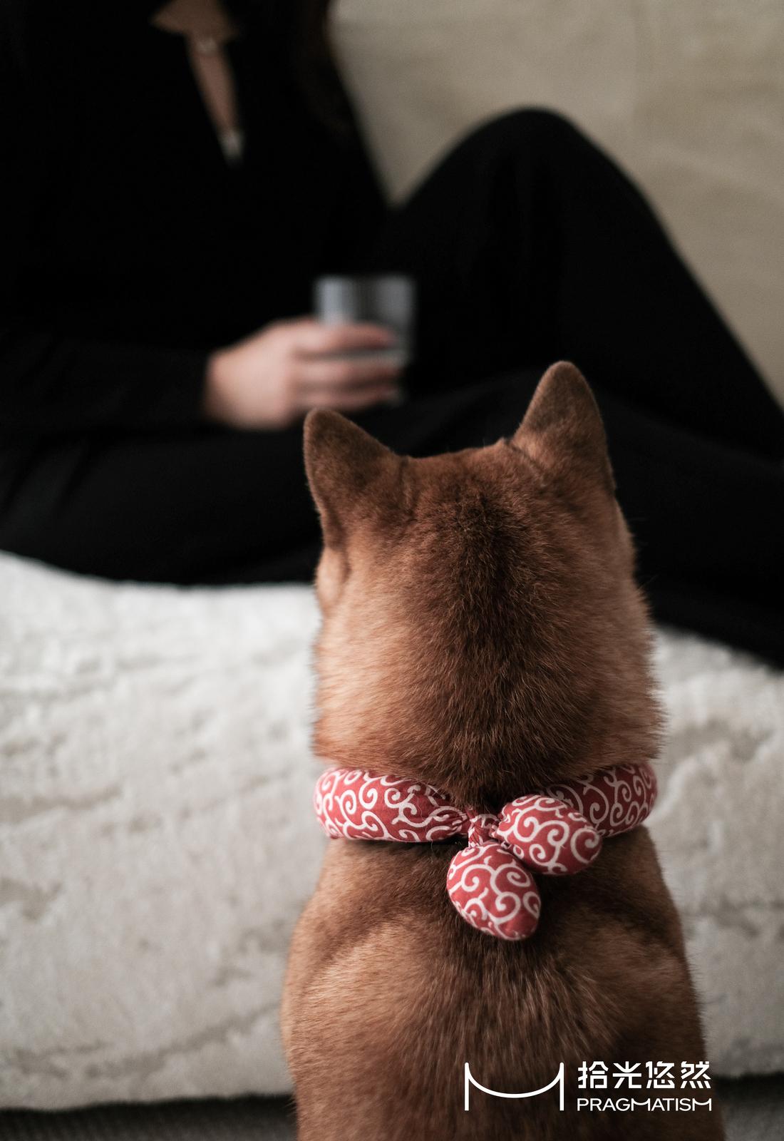 年轻夫妻的舒适大平层-39